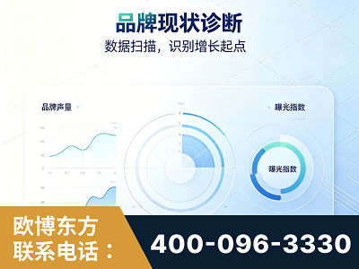 新民-品牌现状诊断
